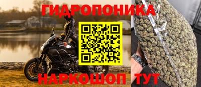 крисы Северобайкальск