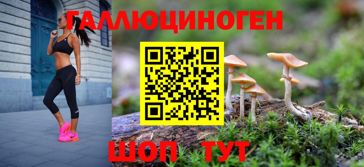 Псилоцибиновые грибы GOLDEN TEACHER  Псилоцибиновые грибы мицелий  Вход с VPN  Ревда 